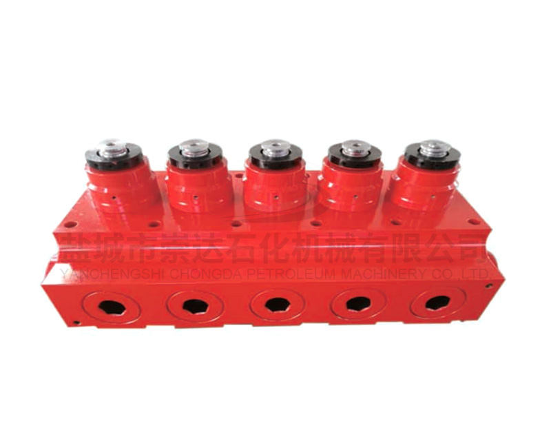 Hydraulic end assembly (five cylinder)