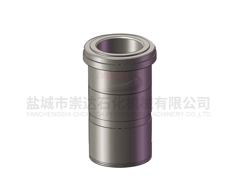 Cylinder liner